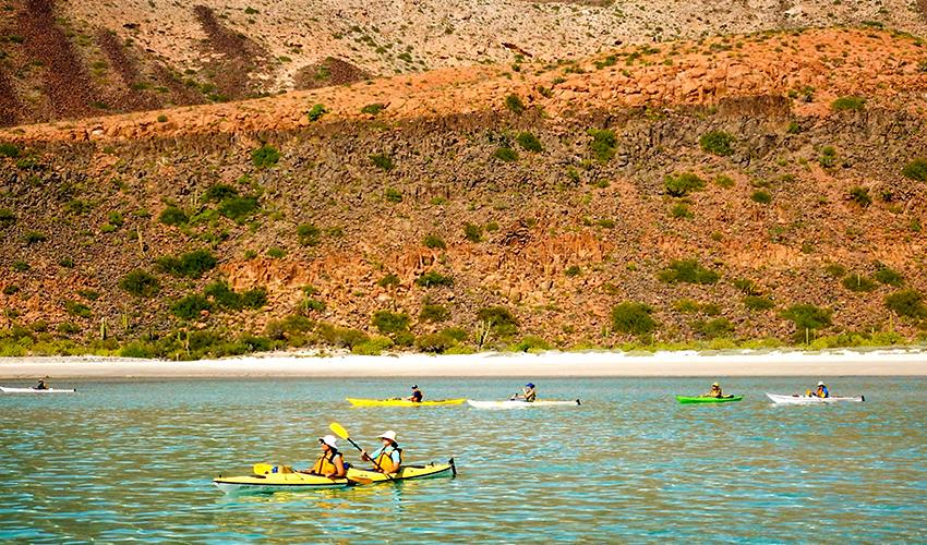 tourhub | Bamba Travel | Baja Kayak Expedition 9D/8N (Fully Catered) | 42613
