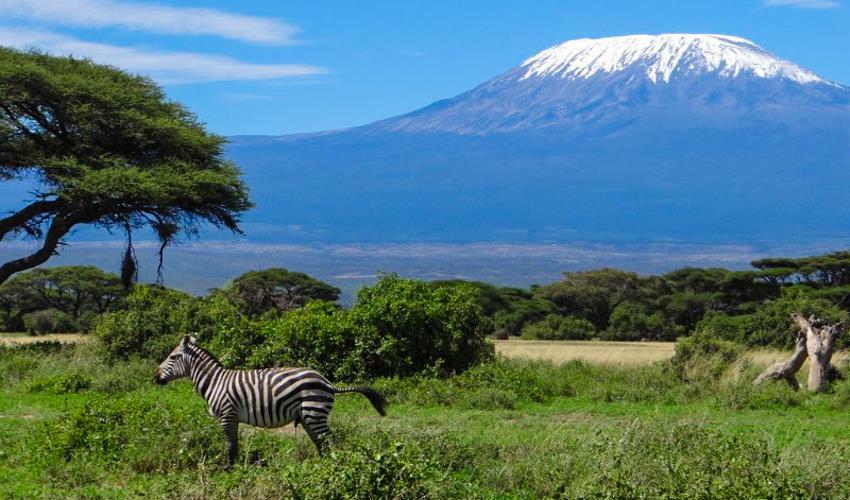 tourhub | Bamba Travel | Amboseli Safari 3D/2N | 57484